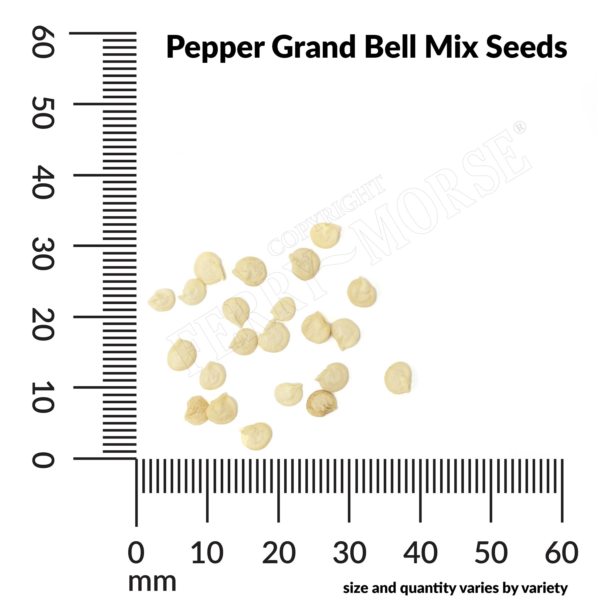 Pepper, Grand Bell Mix Seeds, 600mg
